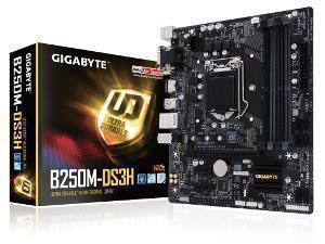 GIGABYTE B250M-DS3H Intel B250 (Socket 1151) Micro ATX Motherboard - ASUS